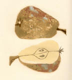 Kopie von silografia della serie 7 frutti, N 6.jpg (36593 Byte)